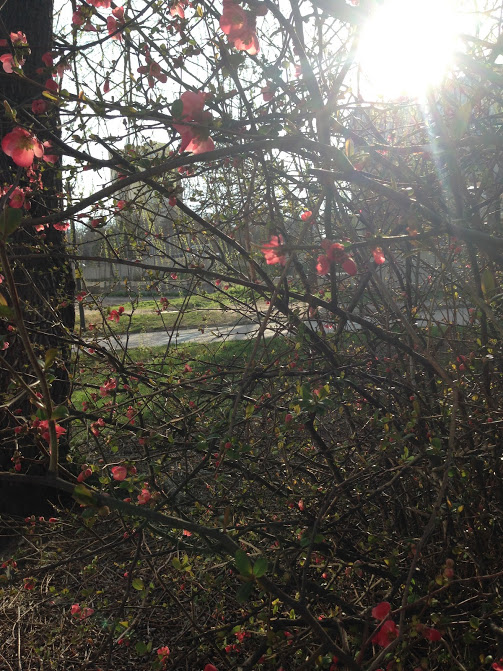 Andrea - A time to tear down