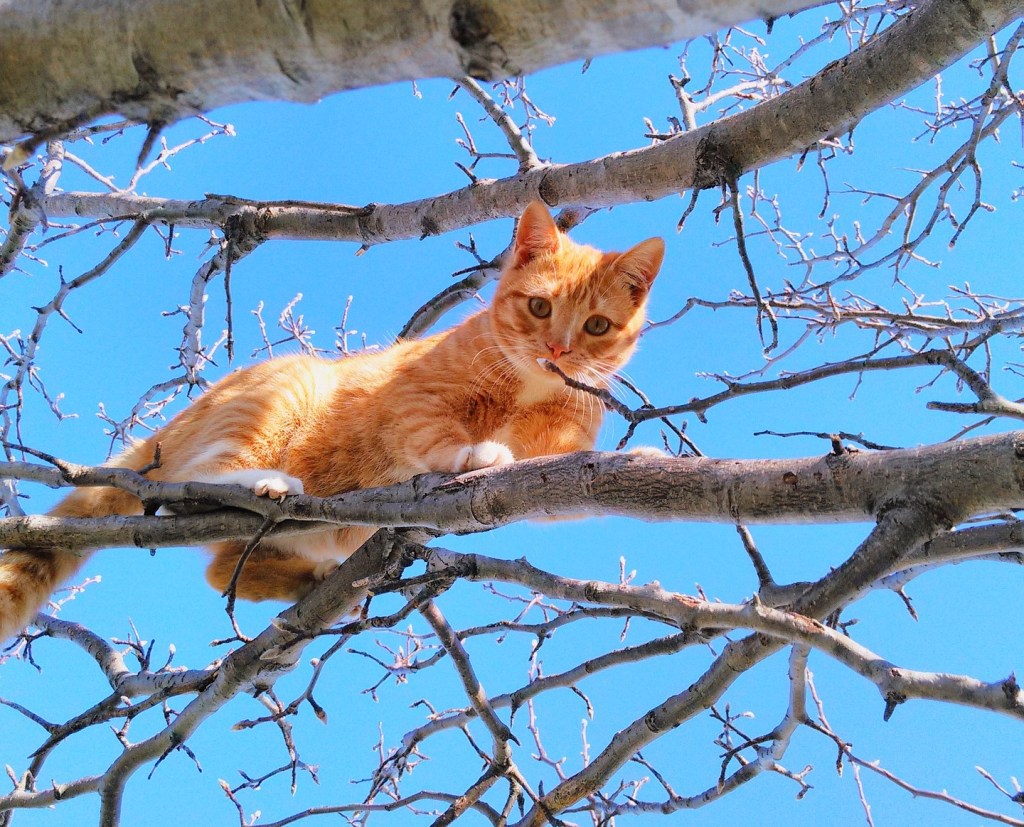 Feeling Stuck in Time