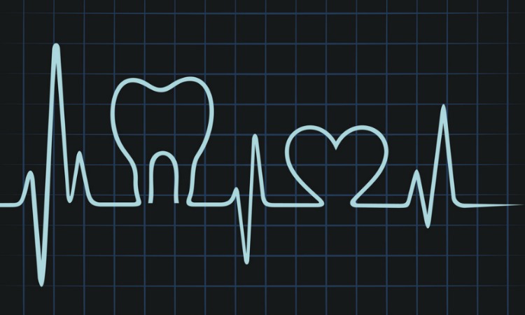 What I learned from the Dentist