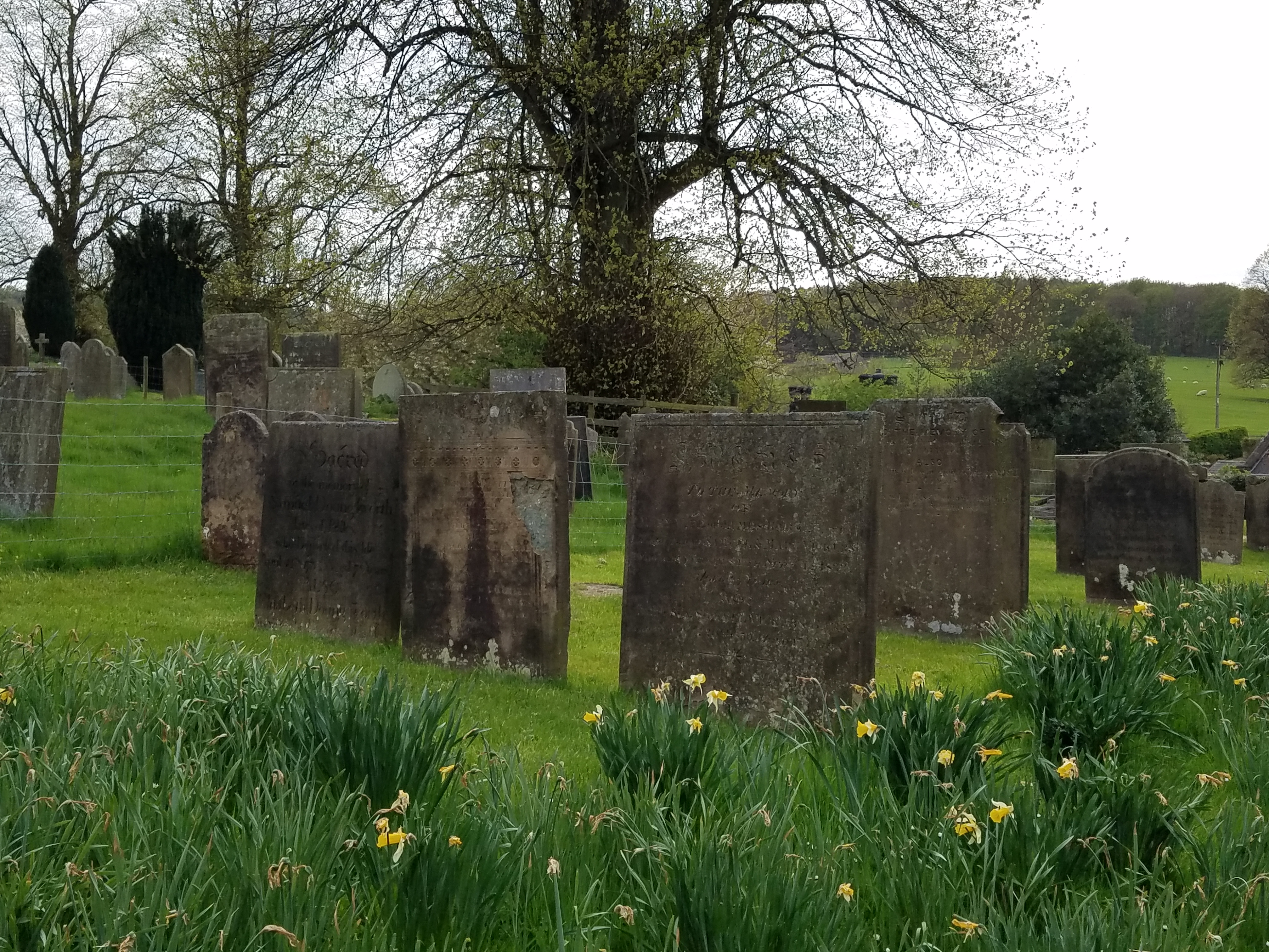 Chatsworth Graveyard