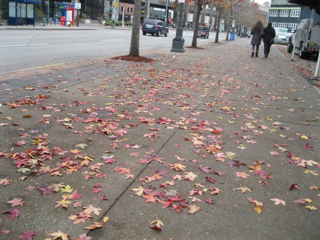 The Love Letter of Time and Attention